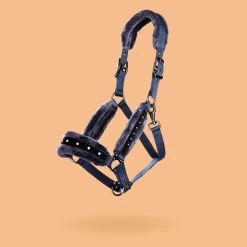Horse Riding Halter And Leadrope Set For Horse And Pony -Equestrian Equipment Store k03e132dd9fc11d3322603d1d6b970231
