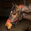 HAREWOOD HEADCOLLAR -Equestrian Equipment Store k1c2499831febe107d447c6c44873fcd2