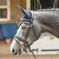 EASTWOOD CRANK BRIDLE INCLUDING REINS -Equestrian Equipment Store k23571d903f4c50699da0f1f6e4a22963