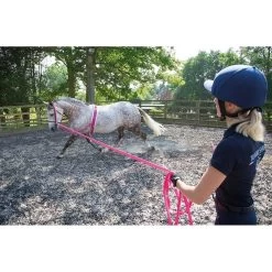 Fleece Padding Nylon Horse Lunging Roller (Black) -Equestrian Equipment Store k35d43ec75cd6f754b755ff500a171512