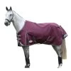 Weatherbeeta Comfitec Plus Dynamic II StandardNeck Medium Lightweight Horse Turnout Rug -Equestrian Equipment Store k3680f9636c13fa1fe6ce07f02a31c751
