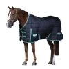 Weatherbeeta GreenTec StandardNeck Medium Lightweight Horse Stable Rug (Black/Bottle Green) -Equestrian Equipment Store k4814151866c6c870270a45bb1dd6c60f