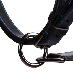 Horse And Pony Riding Leather Halter Performer -Equestrian Equipment Store k4f8576a6d883e57d2d3b48ca12430f9c
