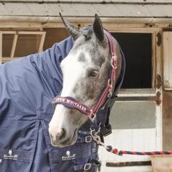 AIRFLOW HEAD COLLAR WITH LEADROPE SET -Equestrian Equipment Store k5759a33801e4ccd6d5ebee619cc2a54c