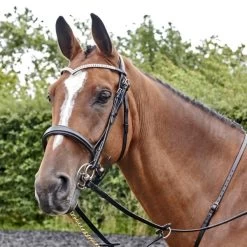 Lynton Snaffle Bridle With X2 Browbands