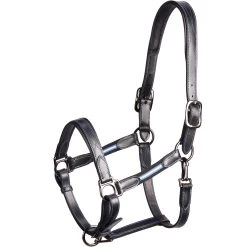 Horse And Pony Riding Leather Halter Performer