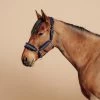 Horse Halter Comfort -Equestrian Equipment Store k776133f93b99c4ddaf29877167407f92