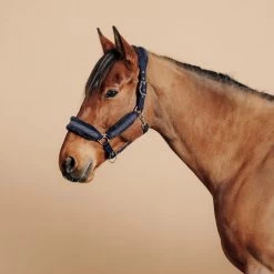 Horse Halter Comfort