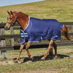 Weatherbeeta REFURBISHED SAXON 600D STANDARD LITE -145 CM WIDE -BLUE