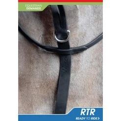 Ready To Ride Martingale -Equestrian Equipment Store k8a086ad4dd7e7b8a81efa1173cce8696
