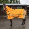 Seacroft High Visibility 200g Combo Turnout Rug -Equestrian Equipment Store k8c9b9606dc409cee1ce37e5c779459f5