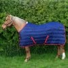Thomas 250G Stable Rug -Equestrian Equipment Store k8d7b8f1d9527cff86ebb224471d0f46a