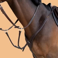 Horse And Pony Riding 3-Point Hunting Martingale -Equestrian Equipment Store kabdbb7eaba67b3c0717b7235f2d055dc