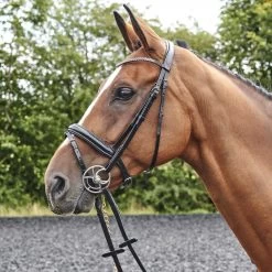 Barton Bling Flash Bridle With Rubber Reins -Equestrian Equipment Store kb273a813573699ccd91c9b5890e276c5