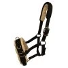 Fleece Lined Horse Lunge Cavesson (Black) -Equestrian Equipment Store kc429e461245fe73051fdccbf72f526d5