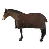 Horse Riding Waterproof Turnout Sheet For Horse & Pony Allweather Light -Equestrian Equipment Store kc679e99806f61af18f7e0fd0e96e685b