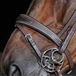 Chicago Breathable Leather Bridle -Equestrian Equipment Store kc94deefdd6ee5ada7202132c3d321f28