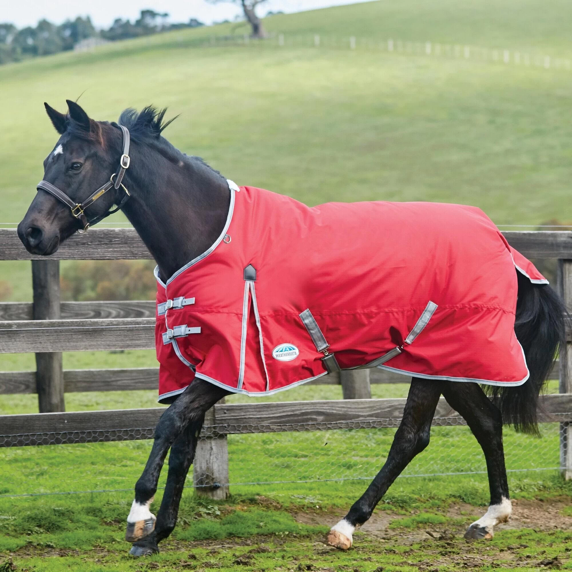 Weatherbeeta Comfitec Classic Medium Lite StandardNeck Horse Turnout Rug (Red/Silver) 5 Weatherbeeta Comfitec Classic Medium Lite StandardNeck Horse Turnout Rug (Red/Silver) - Image 3