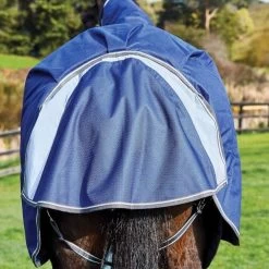 Weatherbeeta Comfitec Premier Free II StandardNeck Lightweight Horse Turnout Rug (Dark 8 Weatherbeeta Comfitec Premier Free II StandardNeck Lightweight Horse Turnout Rug (Dark -Equestrian Equipment Store kd545d4156a1a54a8ba96a6d453b3e229