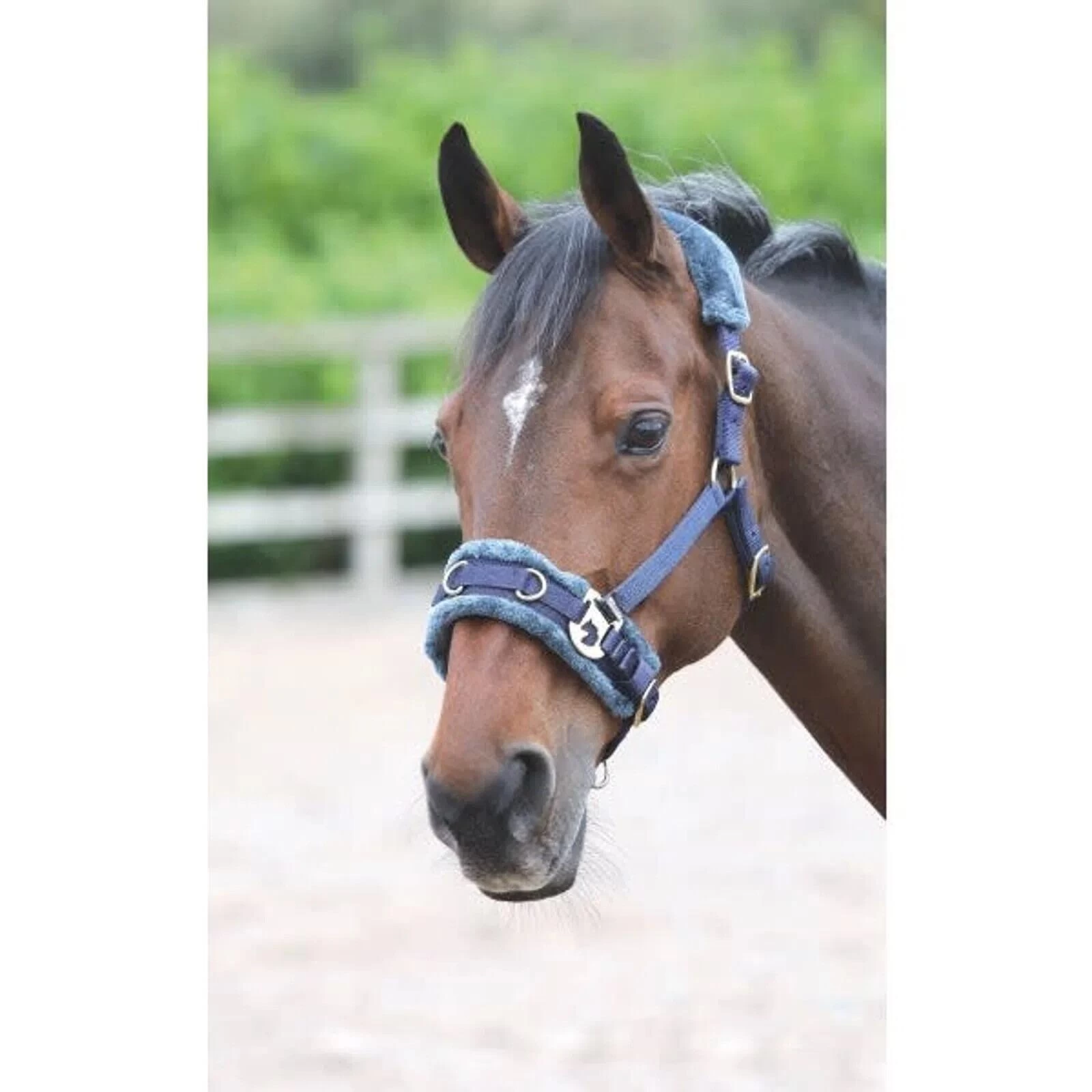 Fleece Lined Horse Lunge Cavesson (Navy) 3 Fleece Lined Horse Lunge Cavesson (Navy)