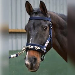 JOHN WHITAKER LUNGE CAVESSON