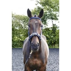 JOHN WHITAKER LUNGE CAVESSON -Equestrian Equipment Store kf07e86832612435e597f235df782783e