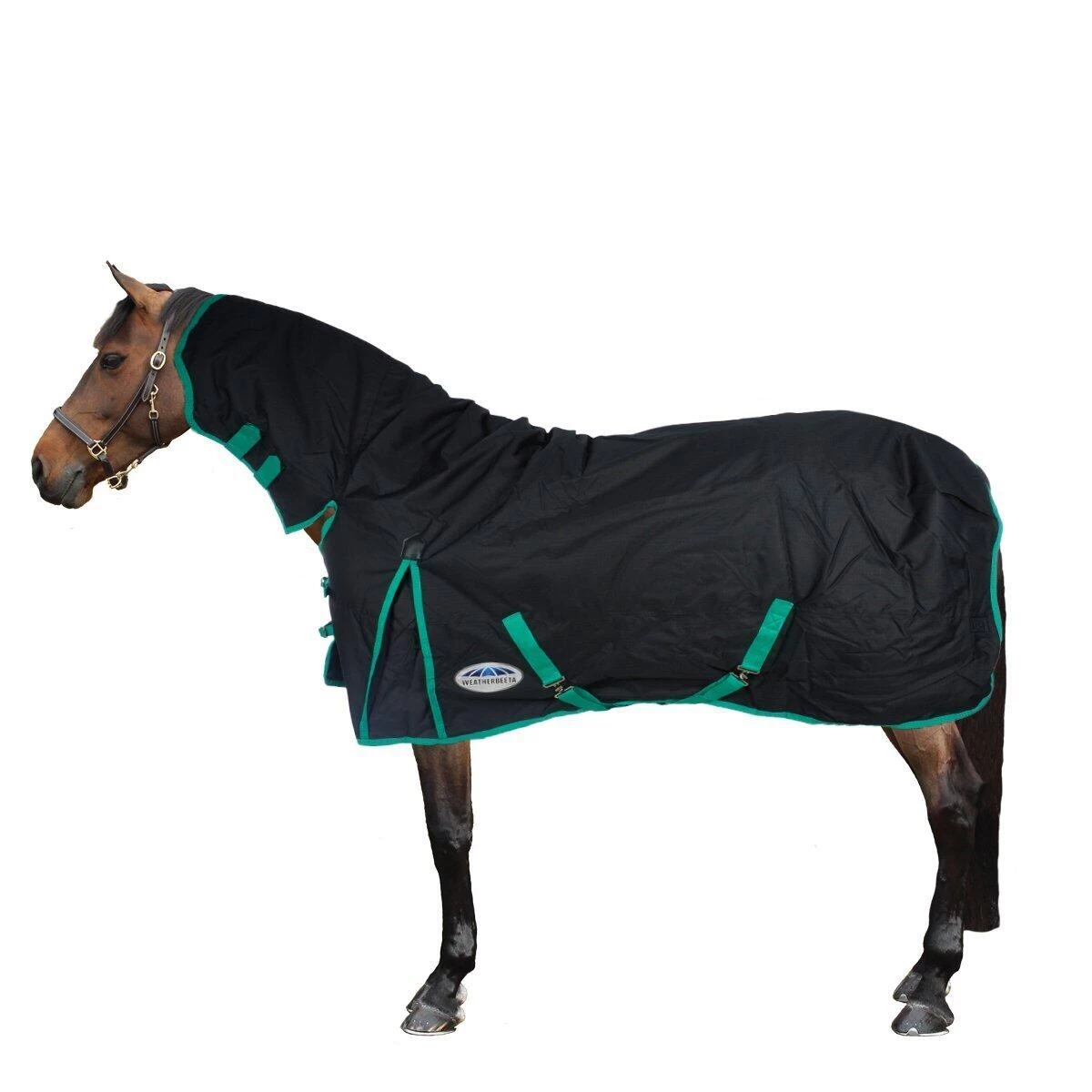Weatherbeeta Comfitec Classic Standard Neck Medium Turnout Rug (Black/Green) 3 Weatherbeeta Comfitec Classic Standard Neck Medium Turnout Rug (Black/Green)