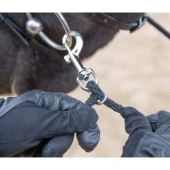 Horse Lunging Aid (Black) -Equestrian Equipment Store kf6743a08a5aec63e90489c9f76f866f6